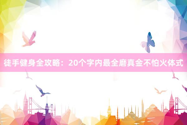 徒手健身全攻略:20个字内最全磨真金不怕火体式